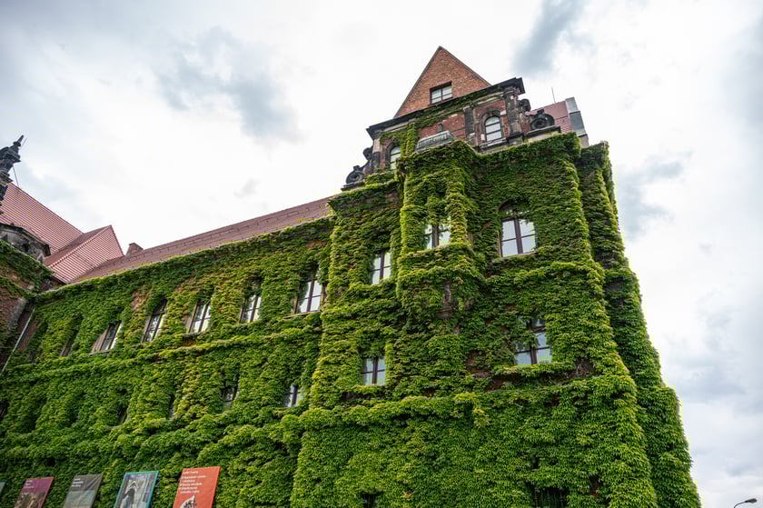 Muzeum Narodowe we Wrocławiu